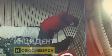 Жестокое избиение собаки попало на видео в Новосибирске: полиция проводит проверку