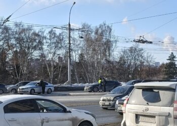 Опасная незамерзайка с метанолом обнаружена в Новосибирске: марки и производители