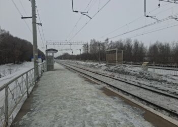 Смерть под колесами: в пригороде Новосибирска грузовой поезд насмерть сбил мужчину