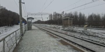 Смерть под колесами: в пригороде Новосибирска грузовой поезд насмерть сбил мужчину