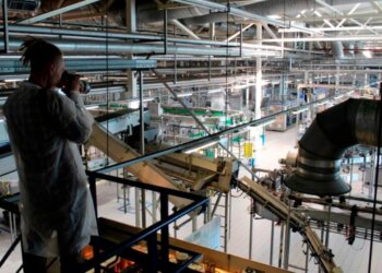 В России с 2027 в России изменятся правила определения пива