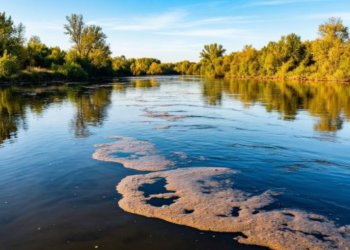 Новосибирскую нефтебазу «Красный Яр» обязали выплатить 67 млн рублей за ущерб реке Оби