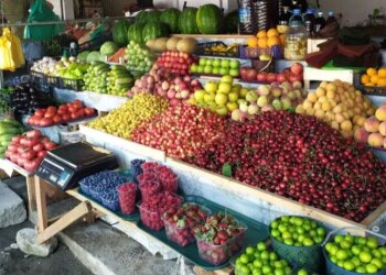 Для продажи овощей и дикоросов введут новые правила