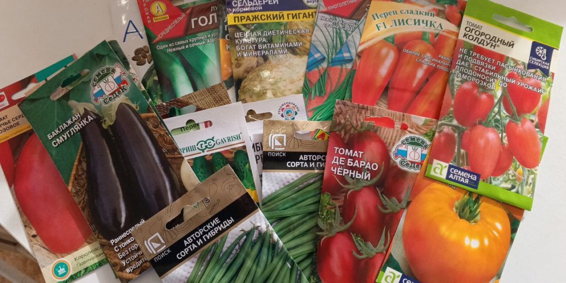 Новосибирский агроном раскрыла секреты выбора качественных семян