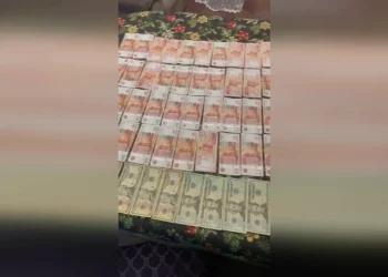 В Новосибирске задержали 8 теневых банкиров, обналичивших более 2 млрд рублей