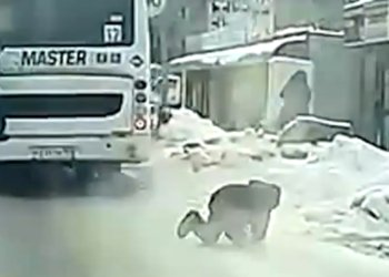 Новосибирский школьник чудом выжил после падения во время зацепинга