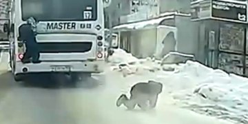 Новосибирский школьник чудом выжил после падения во время зацепинга