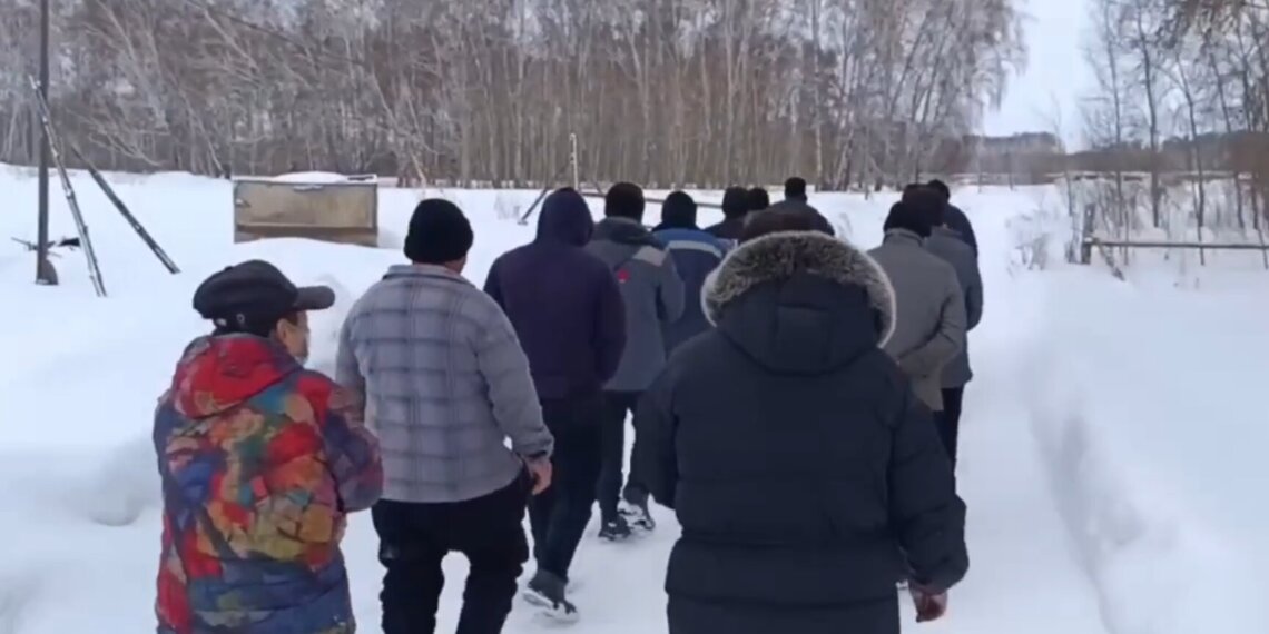 Нелегальных мигрантов нашли в теплицах под Новосибирском