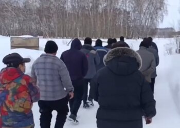 Нелегальных мигрантов нашли в теплицах под Новосибирском