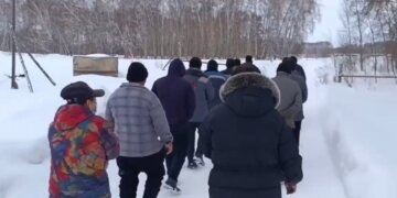 Нелегальных мигрантов нашли в теплицах под Новосибирском