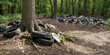 За загрязнение леса директор новосибирского комбината получил условный срок и иск на 195 млн рублей