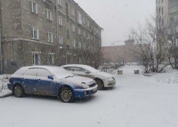Мокрый снег и плюсовая температура не покинут Новосибирскую область в ближайшие дни
