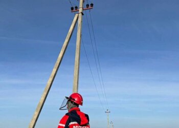 «Россети Новосибирск» завершили строительство электросетей в поселке Агролес