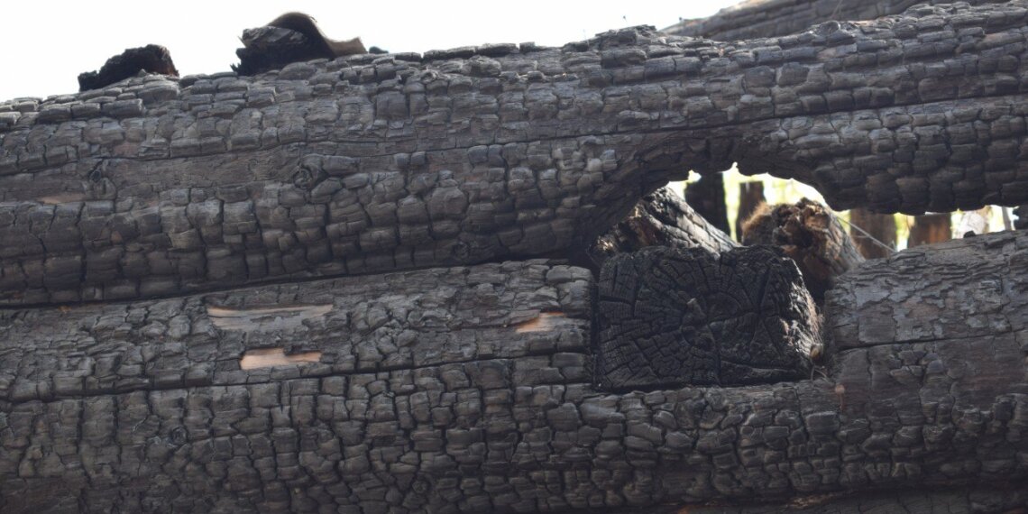 Трагедия в Коченёвском районе: на пожаре погибли женщина и двое детей