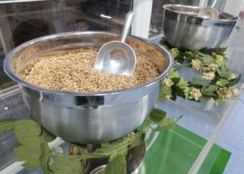 Производство пива в России снизилось в начале 2026 года