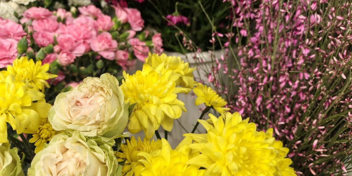 Сибирь будет цвести: новые теплицы для выращивания орхидей и хризантем появятся в Алтайском крае и Новосибирской области