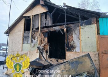 Прокуратура взяла на контроль расследование гибели женщины и двух детей при пожаре в Коченёвском районе