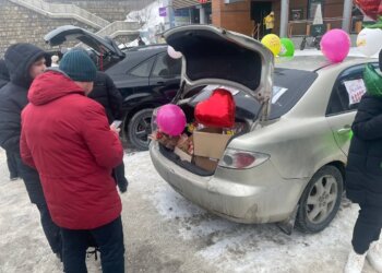 В Новосибирске пресекли нелегальную торговлю цветами: изъято более 800 растений
