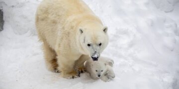 Весенняя декада пожилых стартует в Новосибирском зоопарке 27 марта