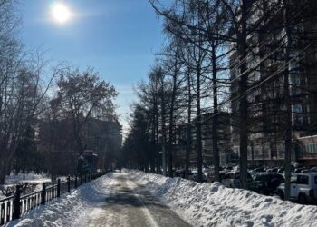 Синоптики рассказали, когда в Новосибирскую область придёт плюсовая температура