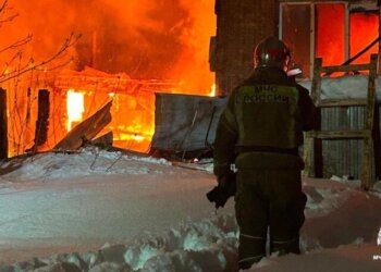 Крупный пожар на ферме в Тогучинском районе унес жизни более сотни телят