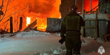 Крупный пожар на ферме в Тогучинском районе унес жизни более сотни телят