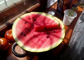 Без пестицидов и токсинов: в России введут новый ГОСТ на свежие фрукты