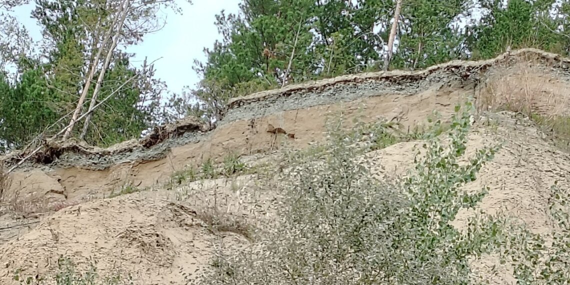 Геолог раскрыл, как Обь едва не затопила новосибирскую деревню в 1962 году