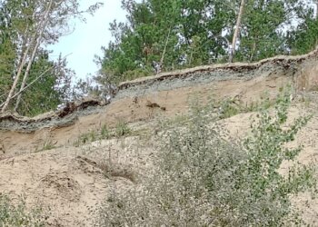 Геолог рассказал, как Обь едва не затопила новосибирскую деревню в 1962 году