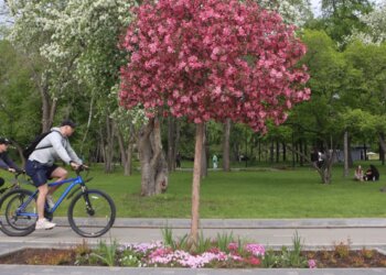 Новосибирцы могут предложить территории для благоустройства в 2027 году: приём идей продлится до 27 марта