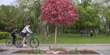 Новосибирцы могут предложить территории для благоустройства в 2027 году: приём идей продлится до 27 марта