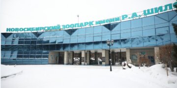 Горячие источники для макак и новый дом для белых медведей: как преобразится Новосибирский зоопарк