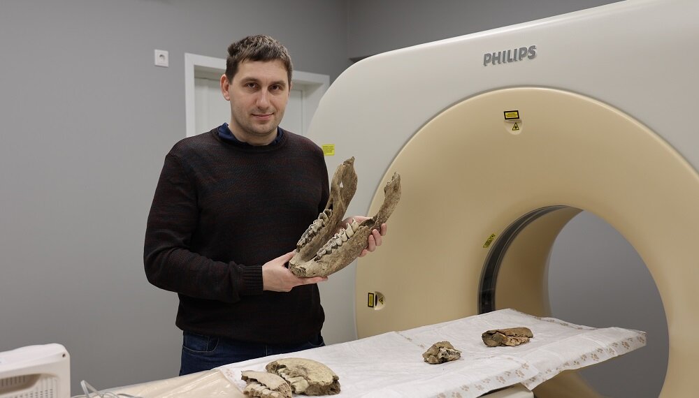 В НГУ впервые провели КТ-исследования челюсти ископаемого шерстистого носорога