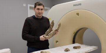 В НГУ впервые провели КТ-исследования челюсти ископаемого шерстистого носорога
