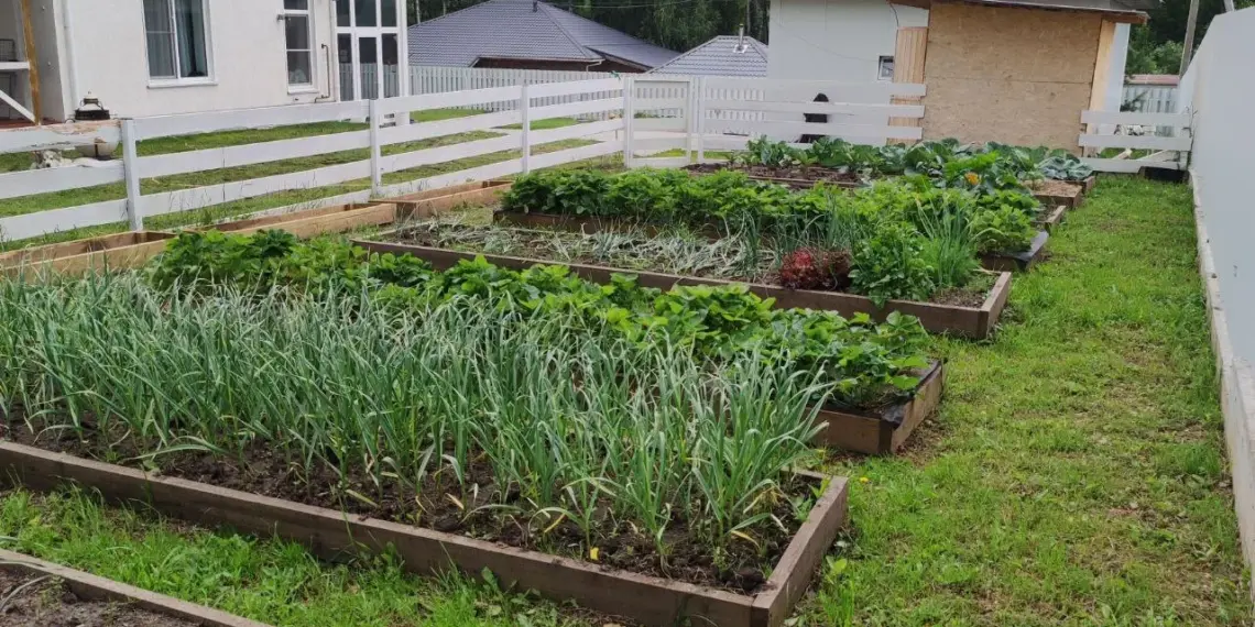 Росреестр указал на ключевую проблему газификации дачных участков в России