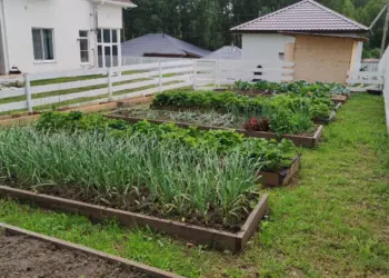 Росреестр указал на ключевую проблему газификации дачных участков в России