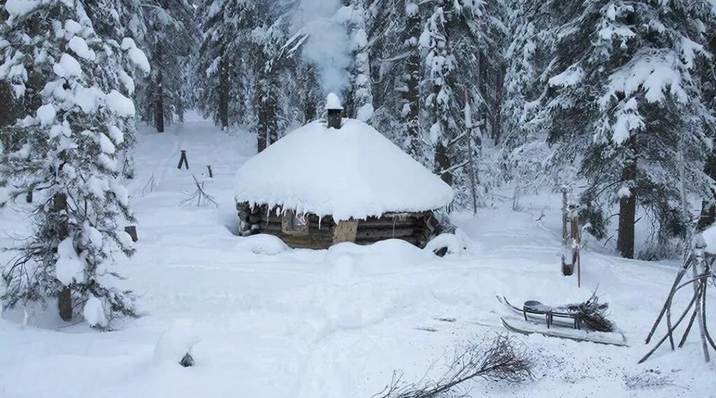 «А оно того стоило?»: мужчина почти 8 лет скрывался в лесу, но всё равно оказался в руках закона
