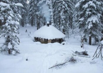 «А оно того стоило»: мужчина почти 8 лет скрывался в лесу, но всё равно оказался в руках закона