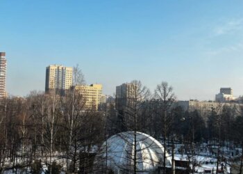 Весна идёт: синоптики пообещали потепление до +8 в Новосибирской области