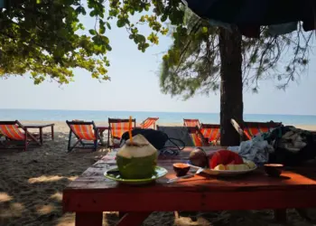 Роспотребнадзор раскрыл секреты выбора спелого авокадо