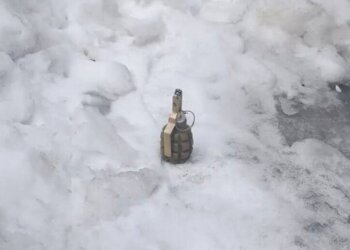 Макет гранаты нашли на остановке в Искитимском районе НСО