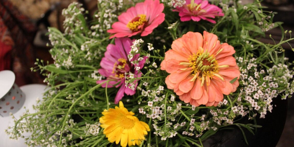 Поселок Марта и улица Мимоз: Почта России нашла женские топонимы Новосибирской области к 8 Марта