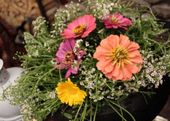 Поселок Марта и улица Мимоз: Почта России нашла женские топонимы Новосибирской области к 8 Марта