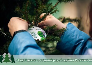 В России стартует седьмой сезон «Сада Памяти»: по всей стране высадят аллеи в честь героев