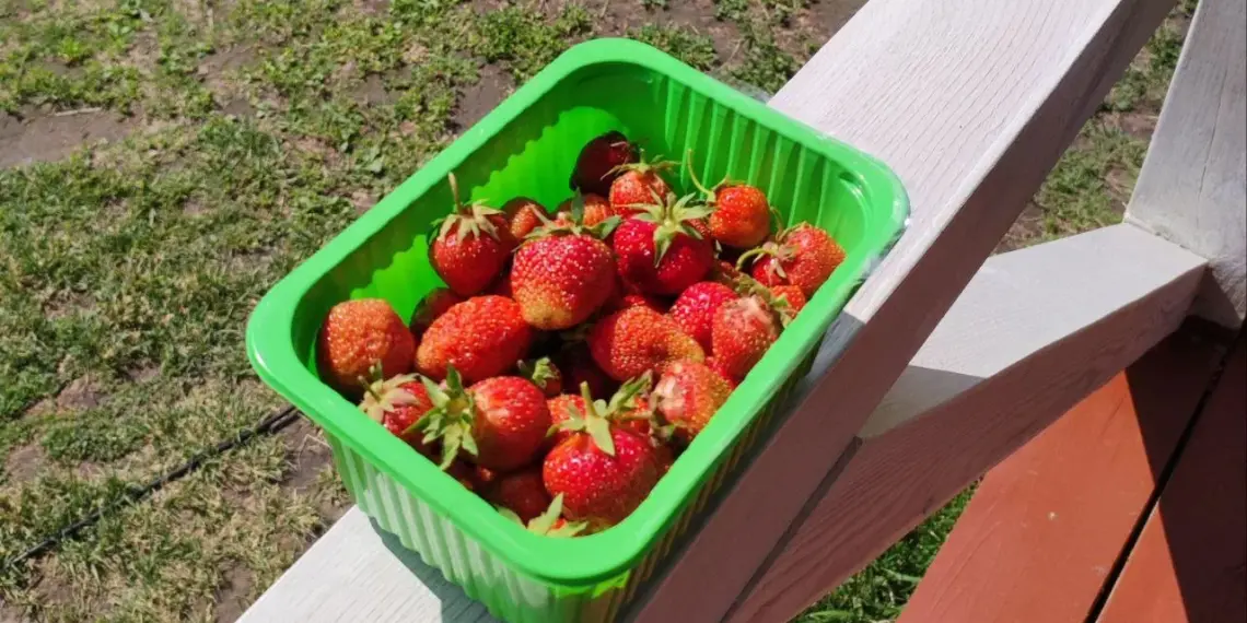 Эскалация конфликта на Ближнем Востоке приведёт к росту цен на продукты и технику в Новосибирске