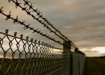 Президент РФ выразил беспокойство из-за роста экстремистских преступлений