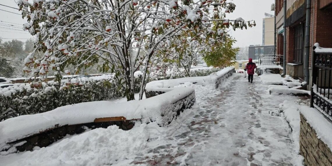 «Холодный май 2026-го»: новосибирцам рассказали о прогнозе погоды на ближайшие три месяца
