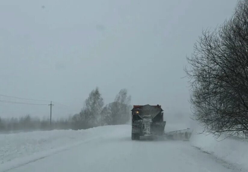 В 16 районах НСО из-за метели приостановили подвоз школьников