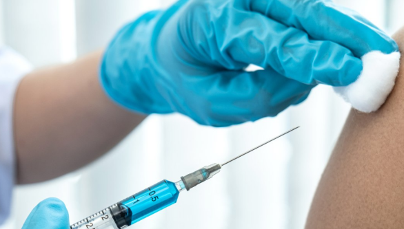 Клещи проснулись. Сколько стоит уберечь себя и питомца от опасности в НСО