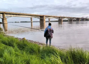 Вылов хищных рыб ограничили в Новосибирской области